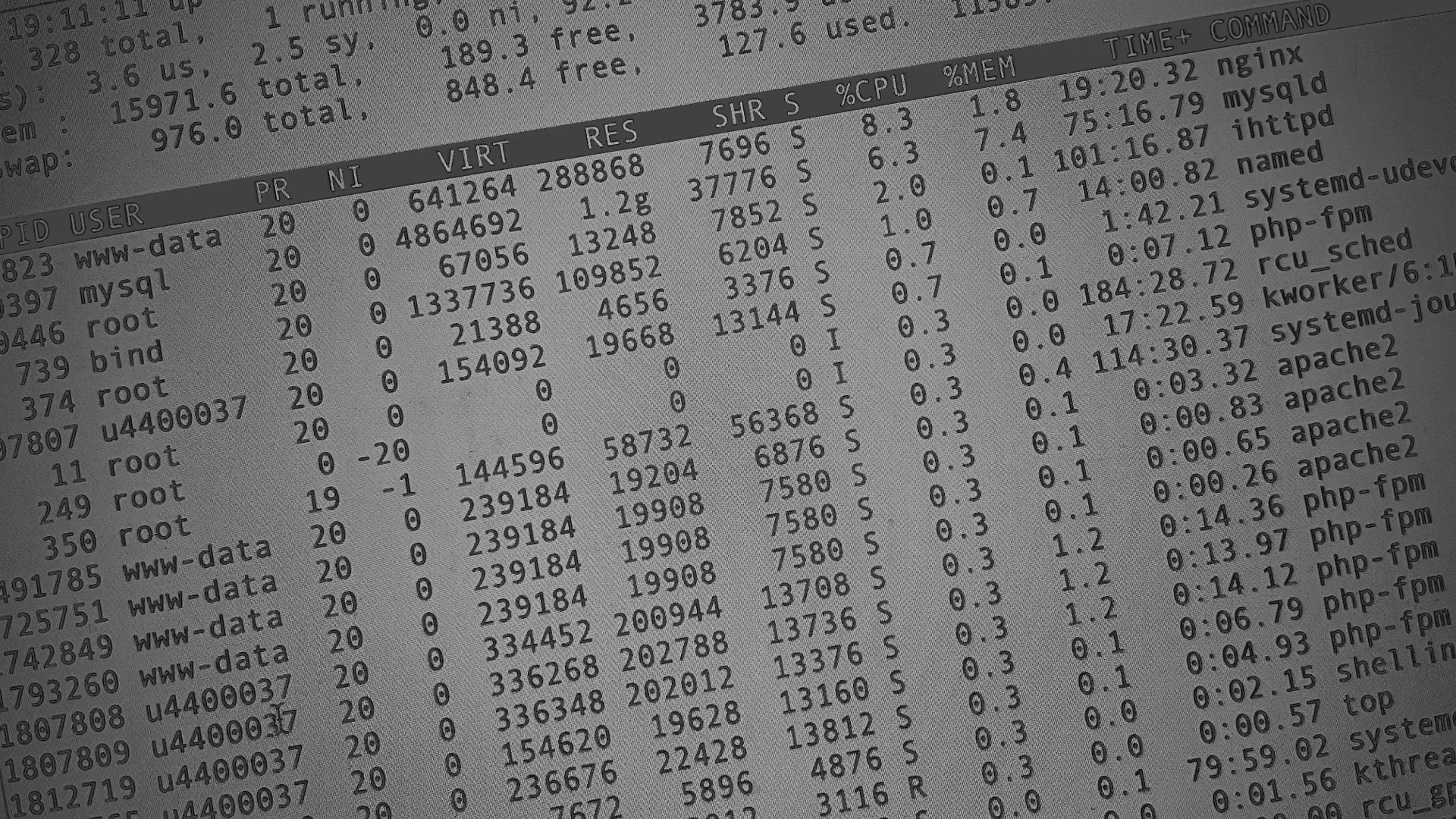 Настройка сервера в Сясьстрое