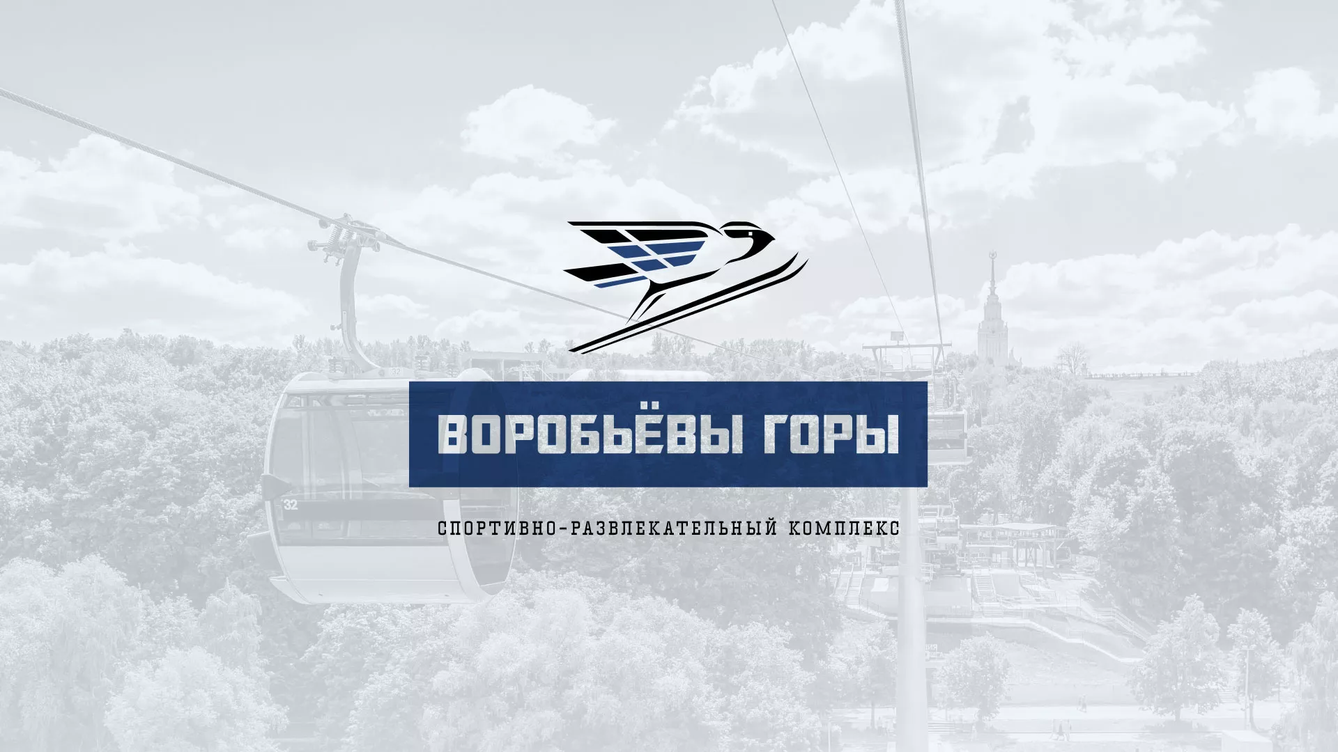 Разработка сайта в Сясьстрое для спортивно-развлекательного комплекса «Воробьёвы горы»