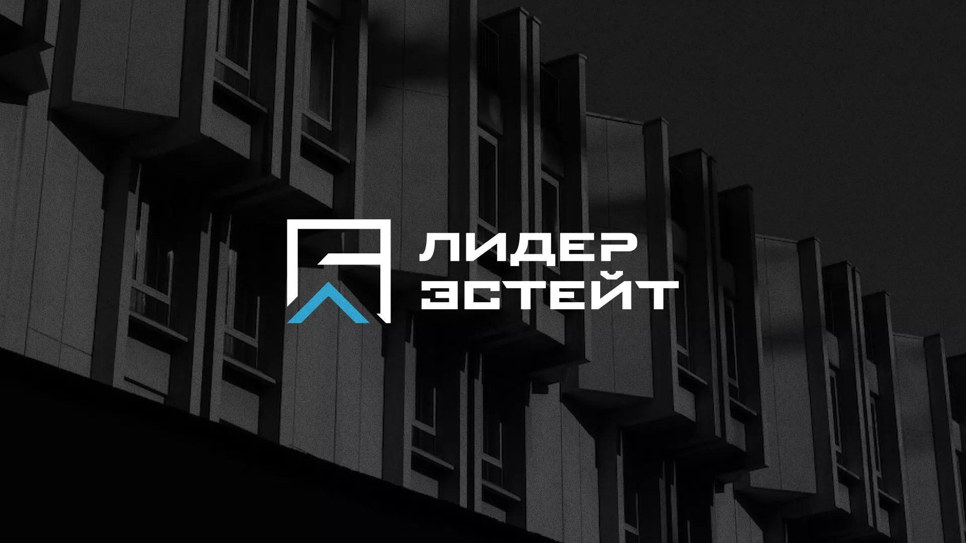 Разработка логотипа агентства недвижимости «Лидер Эстейт» в Сясьстрое